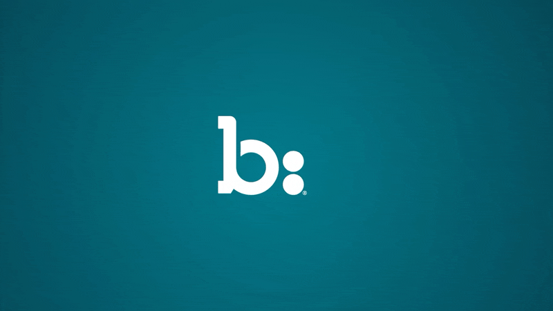 Bazaarvoice logo animation